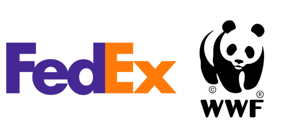 https://ludopedia-posts.nyc3.cdn.digitaloceanspaces.com/09c37_fizt9s.png