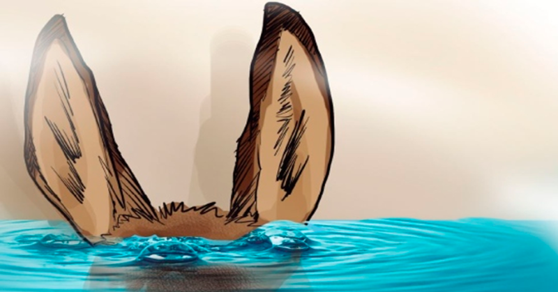 https://ludopedia-posts.nyc3.cdn.digitaloceanspaces.com/84e45_xzduwi.png